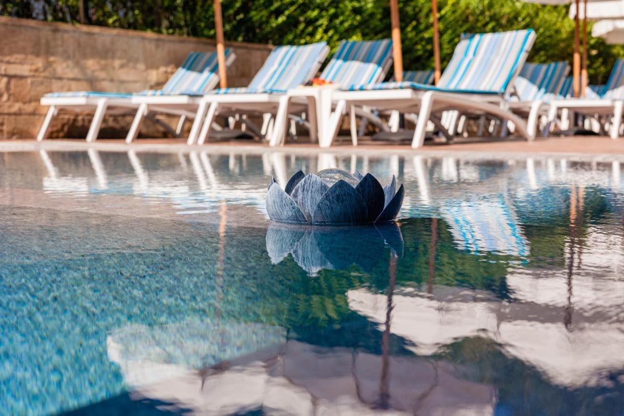 Terra Hotel Banszko Kültér fotó